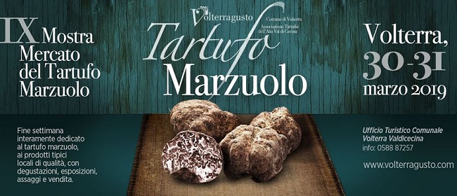 tartufo volterra