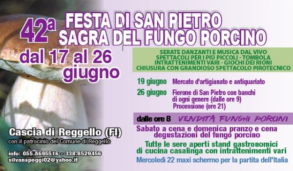 festa san pietro sagra porcino-min