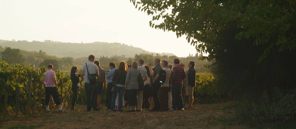 cantine-aperte-vendemmia