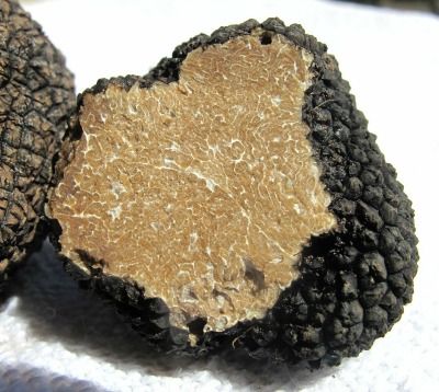 tartufo piccolo