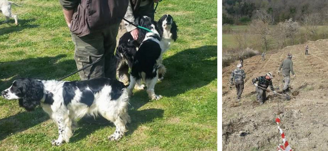 Capolona_tartufai_Collage