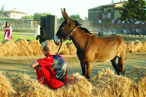 palio dei micci_500x332