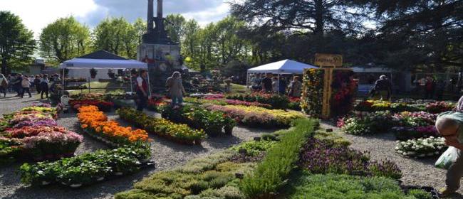 28972__fiorinfiera_650x300