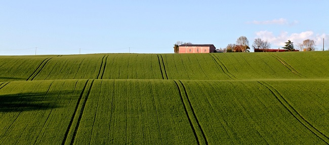 agrifiera