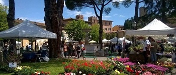 castello in fiore vicopisano