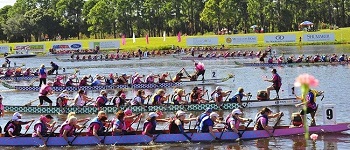 dragon boat festival firenze