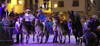 festa di san michele palio ciuchi carmignano