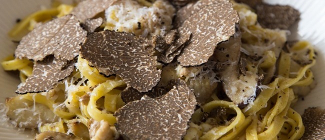 28239__tartufo