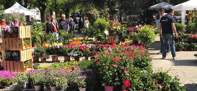 FIorinfiera_eventiintoscana.it