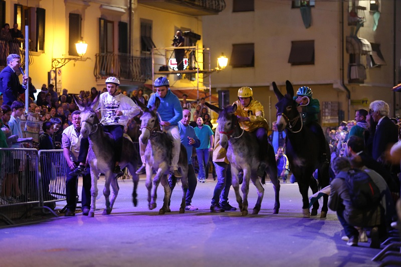 Palio dei Ciuchi San Michele (1)