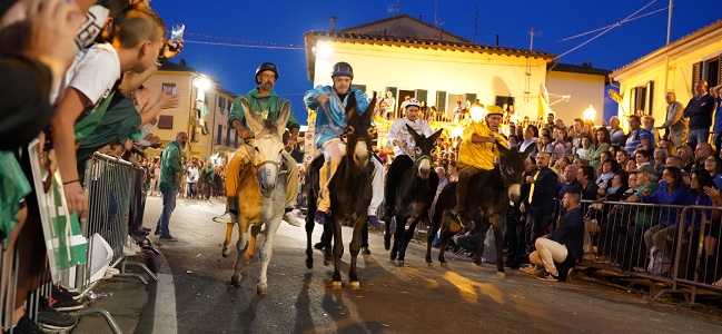 Palio dei ciuchi San Michele_650x300