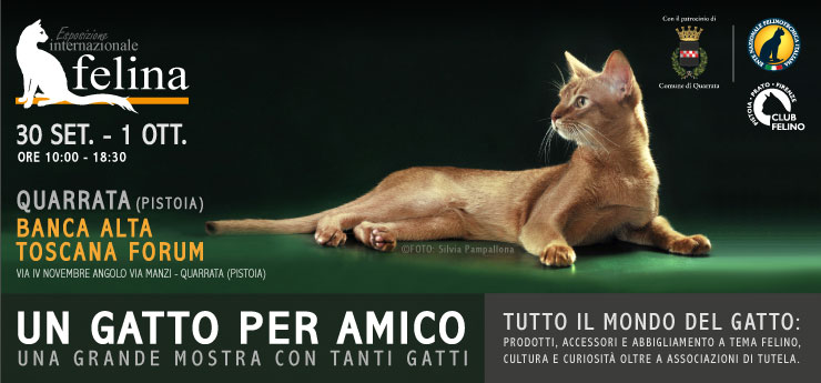 Esposizione Internazionale Felina – Quarrata (Pistoia)