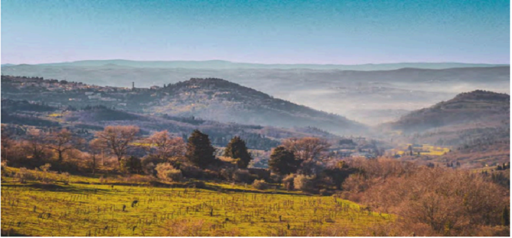 Fiesole tra natura e cultura, Fiesole (Firenze)